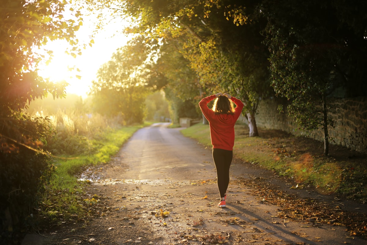 Effective workout routines